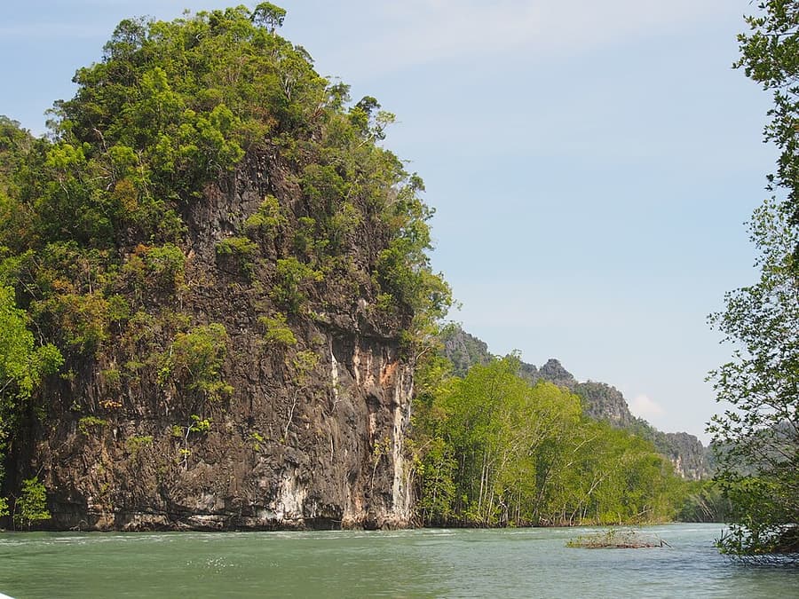 Limestone cliffs and mangroves in Kilim Geoforest Park, Langkawi