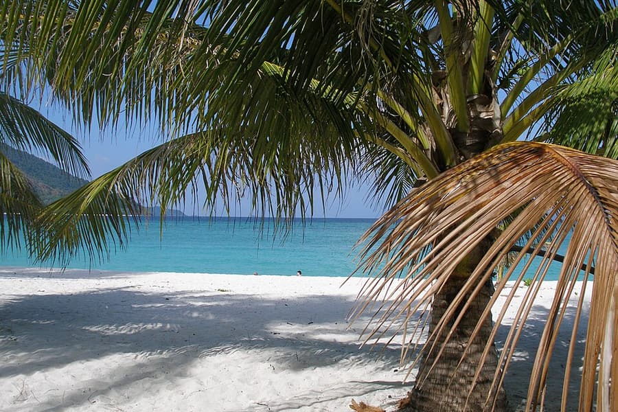 Palm fronds over the white sand of a Koh Lipe beach